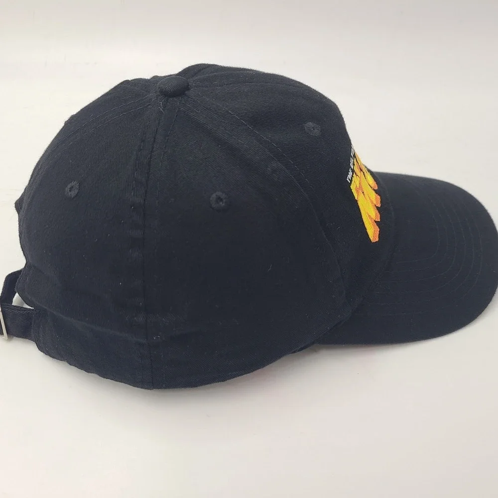 Fly Me To The Moon‎ Movie Promo Hat Adjustable 2008 Family Adventure Strapback
